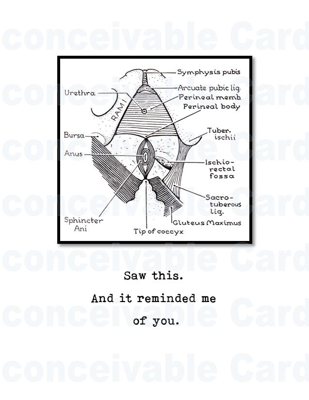 Anus Reminds Me Of You Funny Any Occasion Card