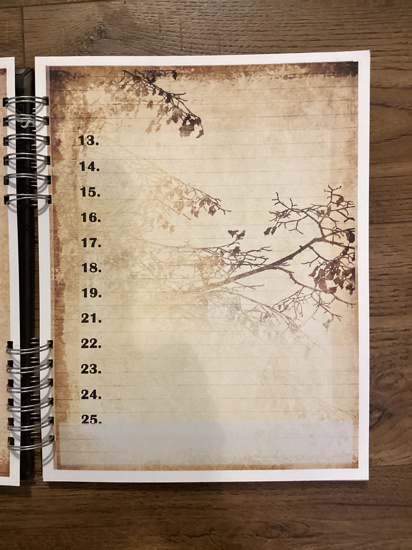 Wizarding Bucket List/Adventure Journal
