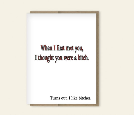 "Turns Out, I Like Bitches" Funny Friendship Card